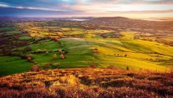 NZII Visiting symposium: Tees Valley, CCR and the development of a net zero industrial cluster
