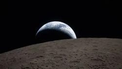 Public Lecture Series: The emergence of life on Earth: What we know, what we think we know, and what we have no idea about!
